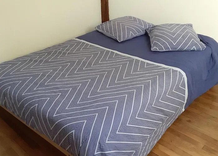 아파트 Vosges Alsace 5 Voyageurs *